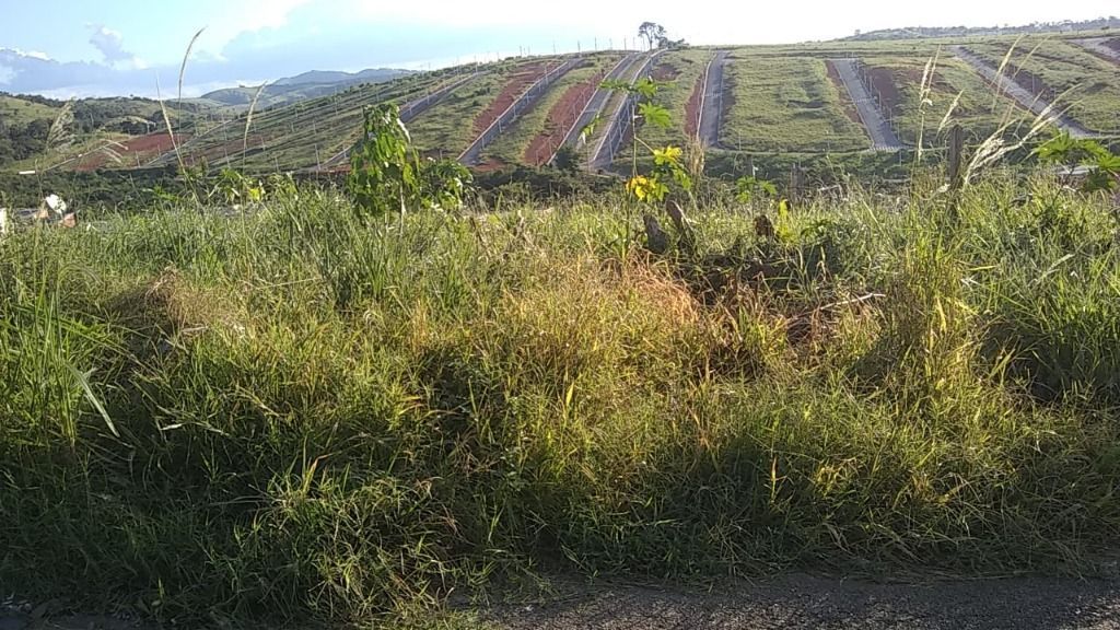 Lote / Terreno