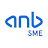 anb SME icon