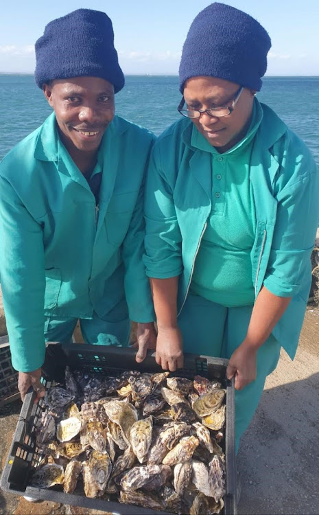 Generating profits through oyster farming.