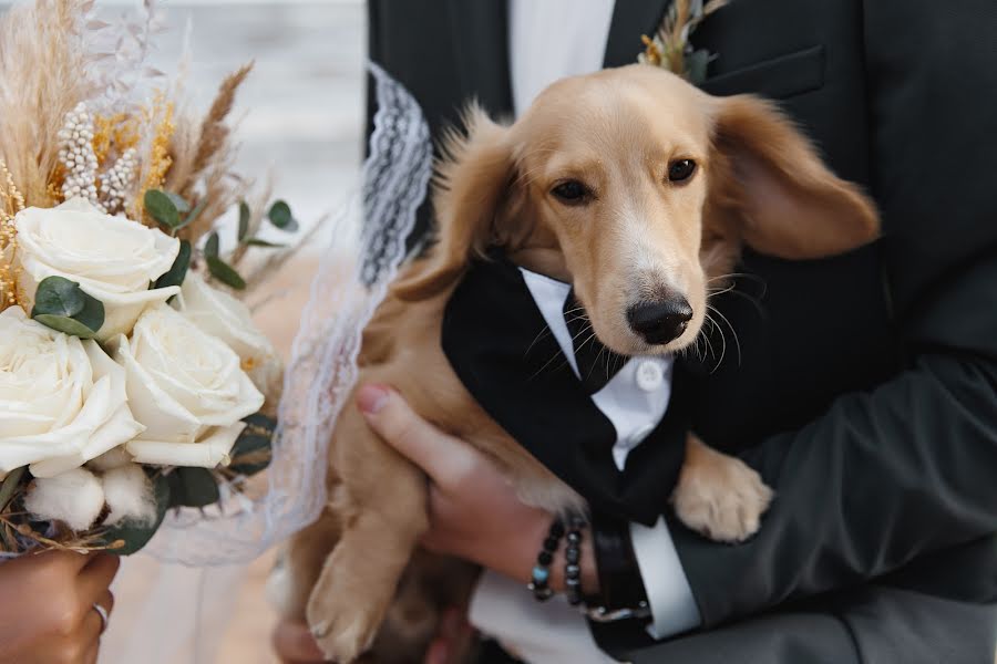 Wedding photographer Anya Agafonova (anya89). Photo of 11 September 2023