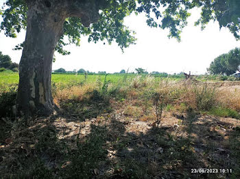 terrain à Arles (13)