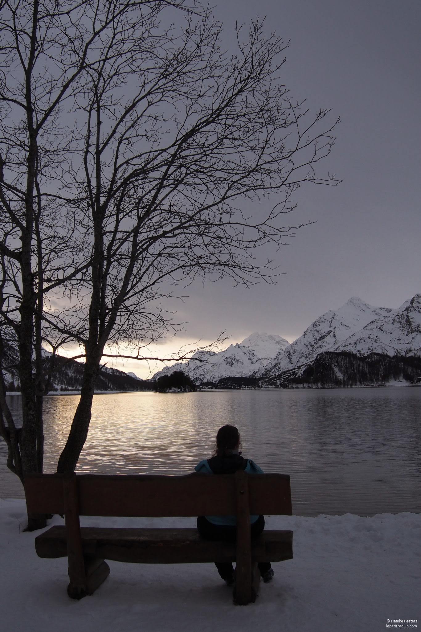 Silsersee (Le petit requin)