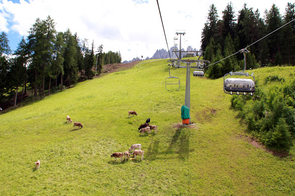 san candido di fabiobaldi