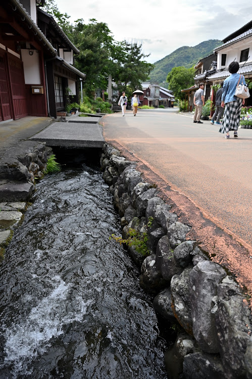 の投稿画像24枚目