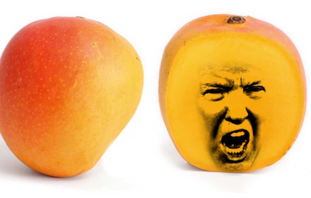 Trump to Angry Mango small promo image