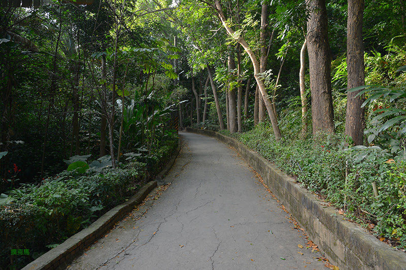 彰師大寶山校區森林步道