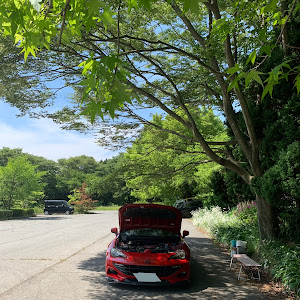 86 ZN6