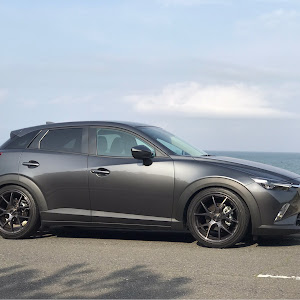 CX-3 DKEFW