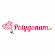 Download POLYGONUM For PC Windows and Mac 1.0.0