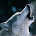 Animal Sounds icon