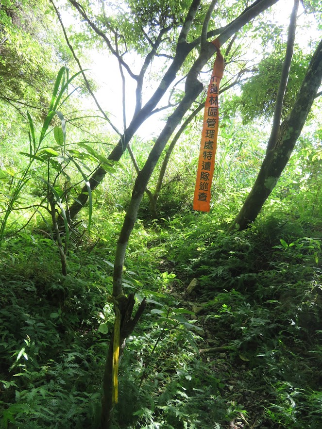 2018_花蓮～佐倉步道 走 沙婆噹山*