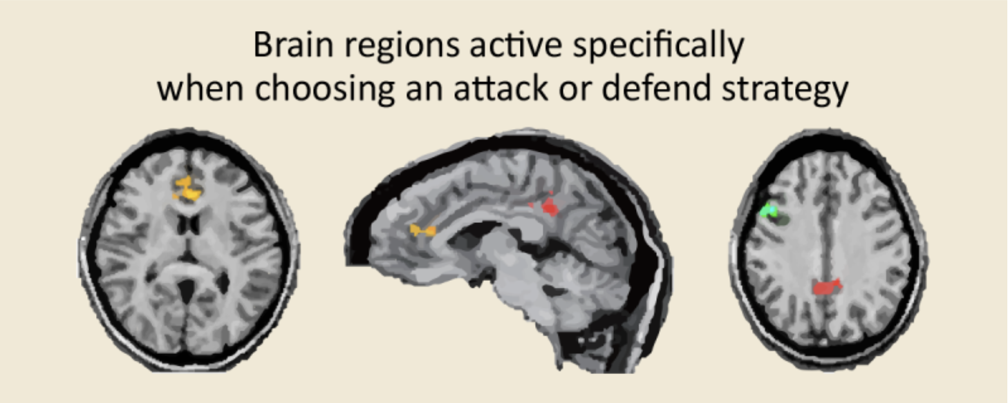 do video games improve critical thinking