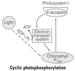 Solution Image