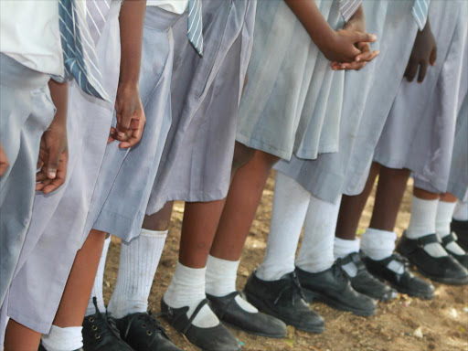 The campaign, in partnership with Lap Fund and the Kenya Red Cross Society, targets 30 girls in two schools per constituency, mainly KCPE candidates.