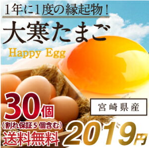 消費税無し 大寒たまご(30個) | 公式オンラインストア タマチャンショップ 果物