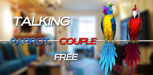 Talking Parrot Couple