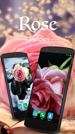 免費下載個人化APP|Beautiful Rose Wallpapers app開箱文|APP開箱王