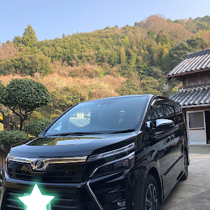 ヴォクシー ZRR80W
