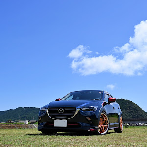 CX-3 DKEFW