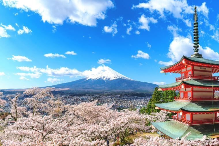 富士山 