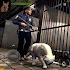 Police Dog Attack Prison Break1.10