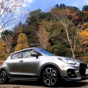 スイフトスポーツ ZC33S