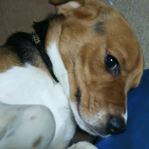 たかちのプロフィール画像