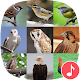 Download Appp.io - Philippine bird sounds For PC Windows and Mac 1.0.3