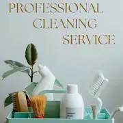 Professional Cleaning Service Logo