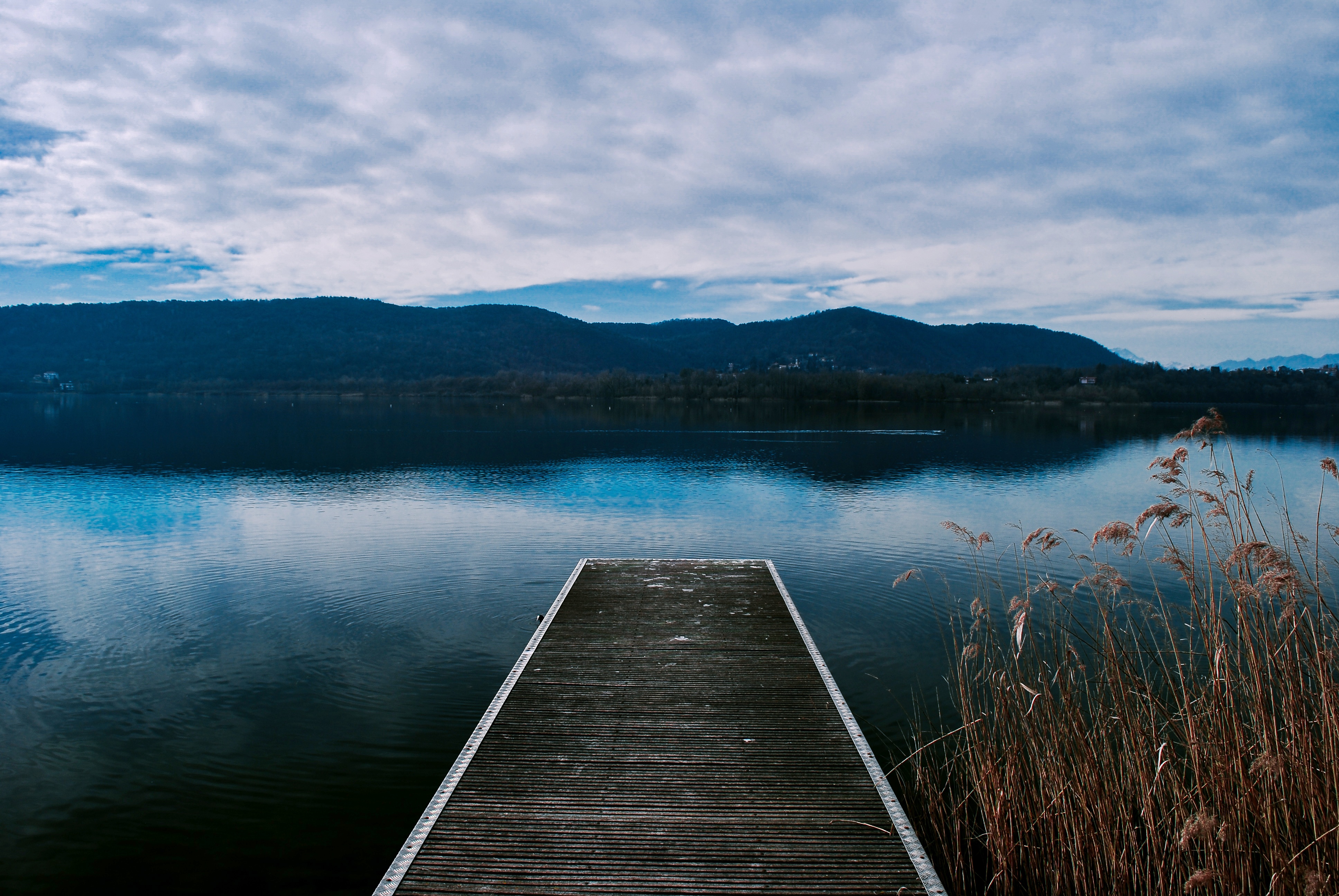 Immerso nel blu di marika_visentin