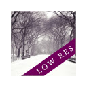 Winter Park - Low Resolution Chrome extension download