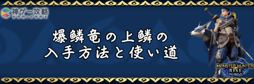 爆鱗竜の上鱗