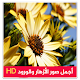 Download اجمل صور باقات ورد و باقات زهور  1.0