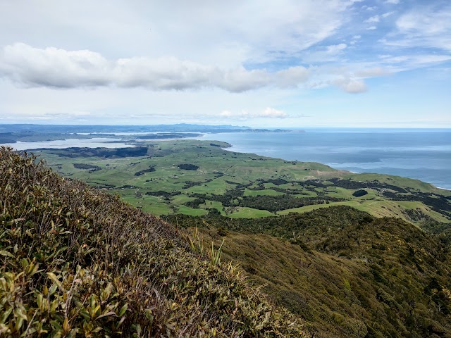 Mount Karioi Summit View