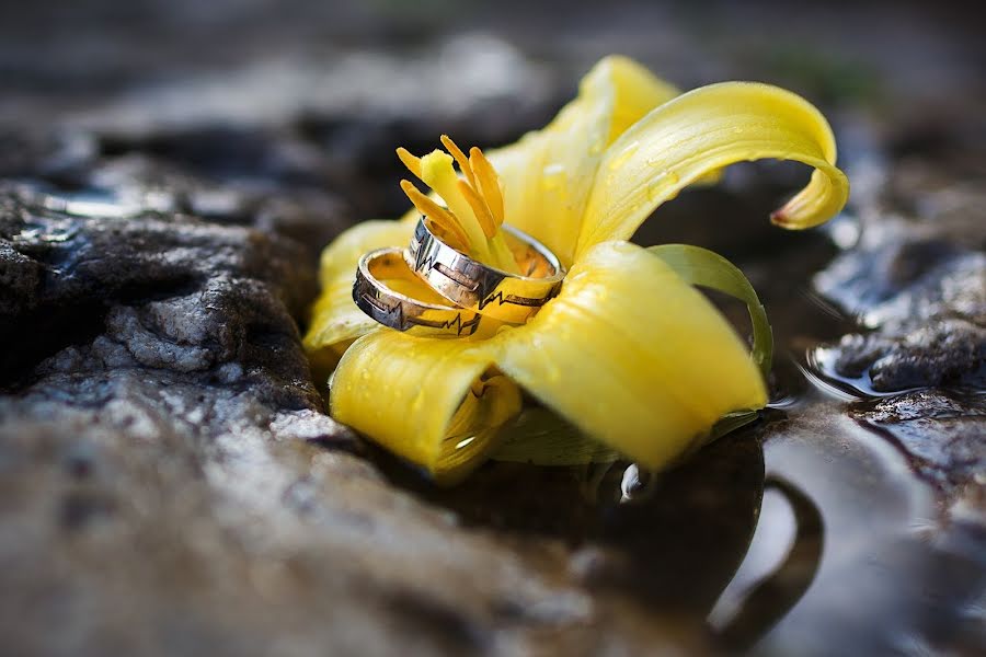 Wedding photographer Aleksey Sidelnikov (sidelnikov-wed). Photo of 27 June 2019