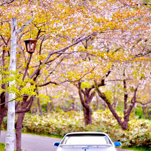 RX-7 FC3S