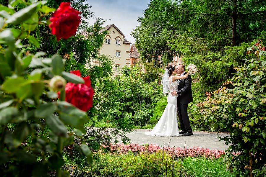 Vestuvių fotografas Viktoriya Kubarenko (kviktoria). Nuotrauka 2017 sausio 30