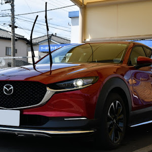 CX-30 DM8P