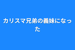 カリスマ兄弟の義妹になった