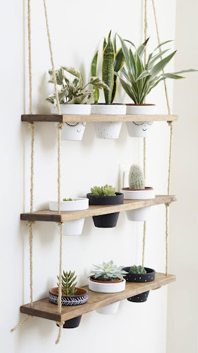 Wall Shelves Designs