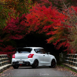 スイフトスポーツ ZC33S