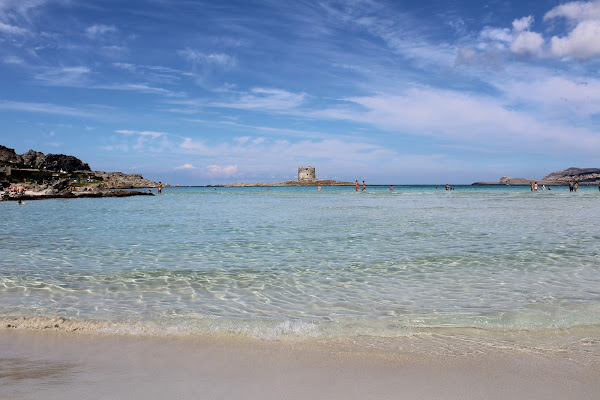 Il mare è senza strade, il mare è senza spiegazioni (cit. Baricco) di KATIA SCODINO