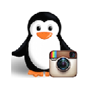 Penguin's Instagram User Photo Chrome extension download