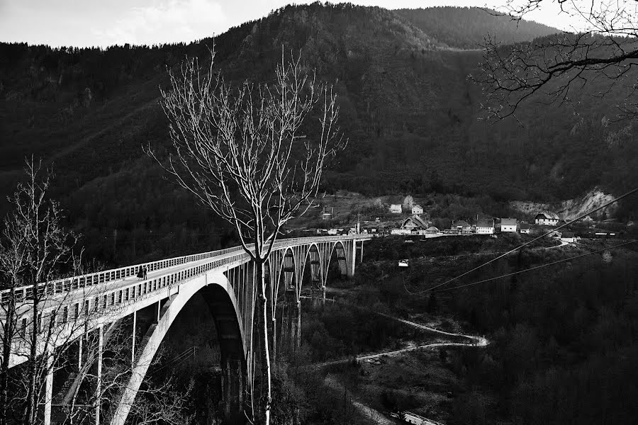 Φωτογράφος γάμων Mariya Orekhova (maru). Φωτογραφία: 11 Αυγούστου 2019