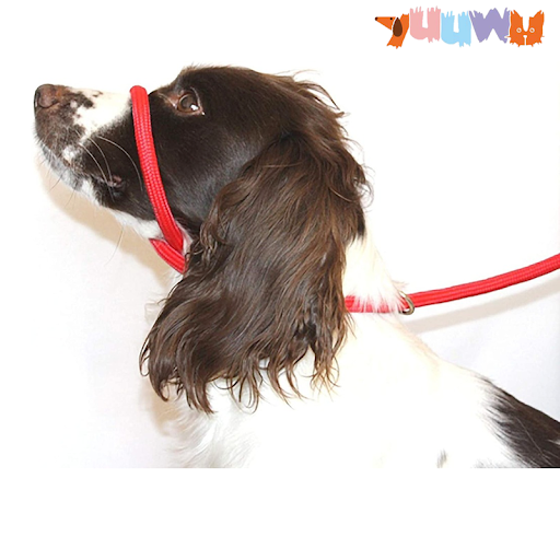 Anti Pull Dogs Leash Halter Head Collar Fits Super Soft Braided Nylon Dog Harness Comfortable Kind Supple Secure Pet Acc