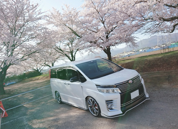 ヴォクシーの桜とコラボ🌸・桜×愛車・春の交通安全週間に関するカスタム事例の投稿画像4枚目