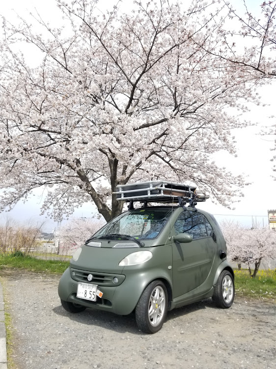 スマートKの桜・ドライブ・菜の花畑・桜と愛車・雪に関するカスタム事例の投稿画像1枚目