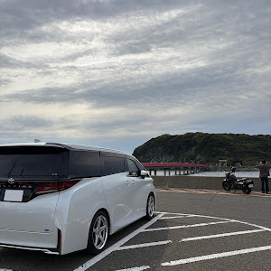 ヴェルファイア TAHA40W