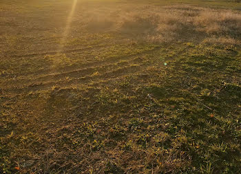 terrain à La Guérinière (85)