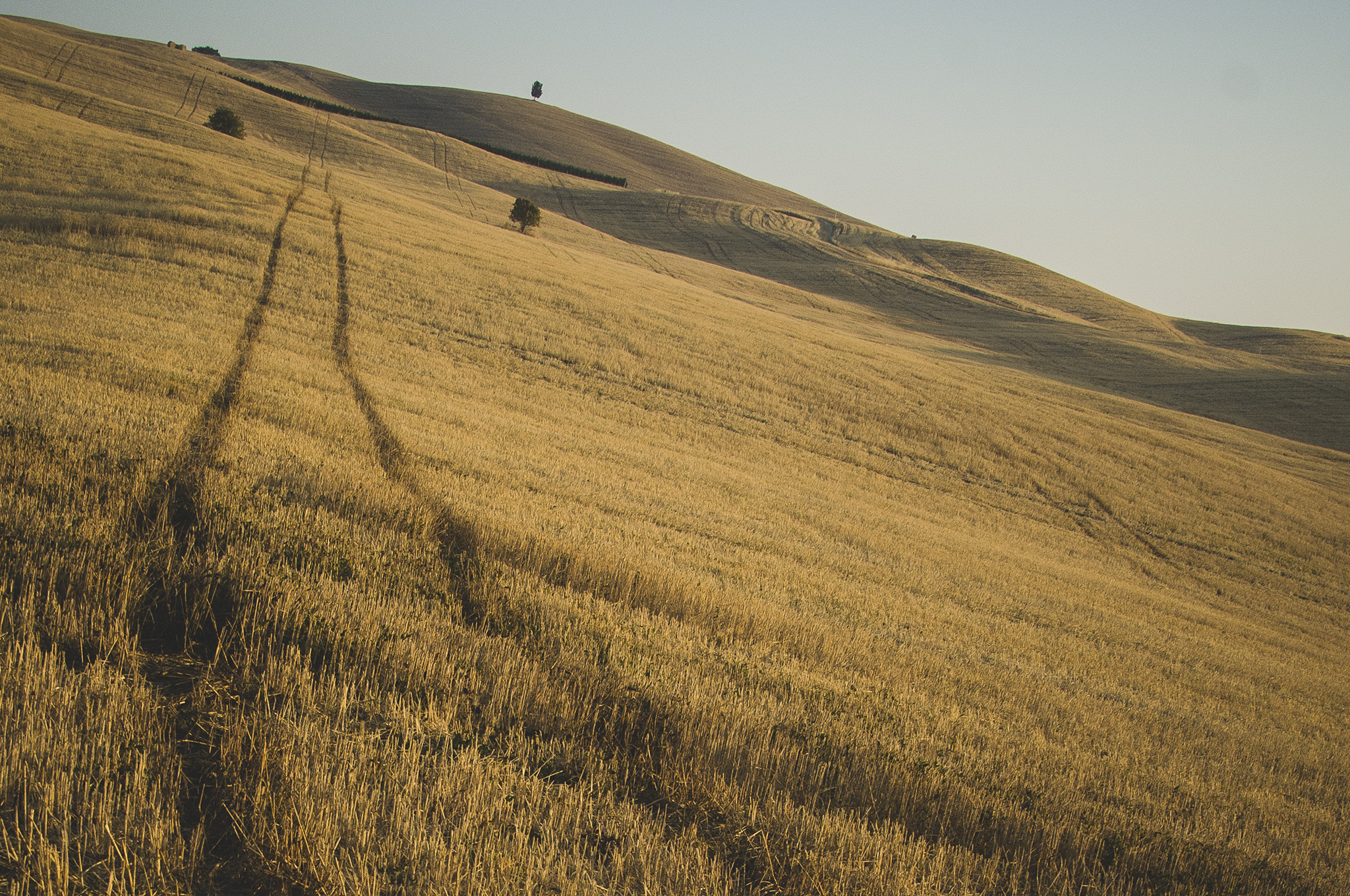 La campagna della Val d'Orcia  di AndreaBurattiniPH